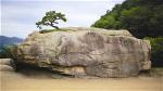 rock-tree